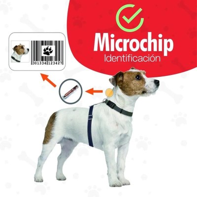 Pet Identification Microchip