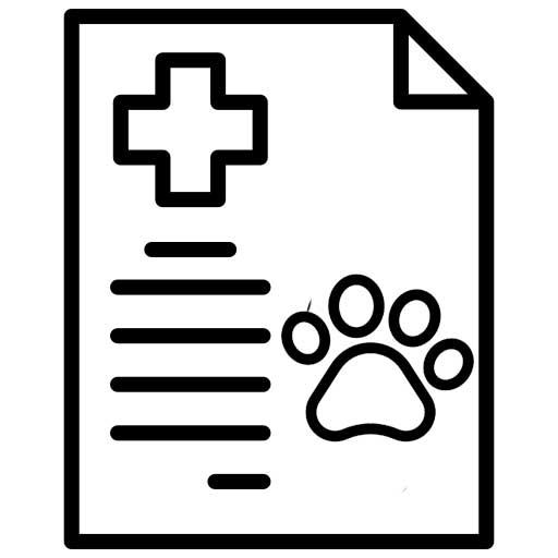 Información veterinaria mascota